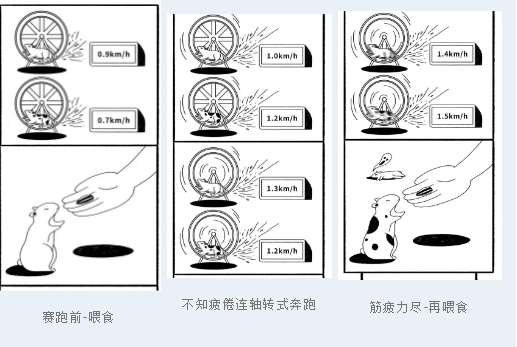 “内卷”用英文怎么说？