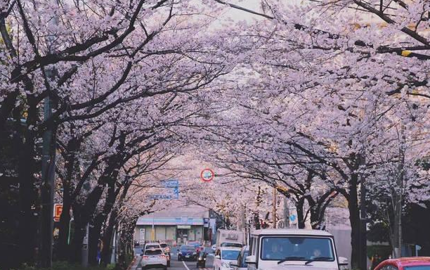 日本留学到底值得吗？
