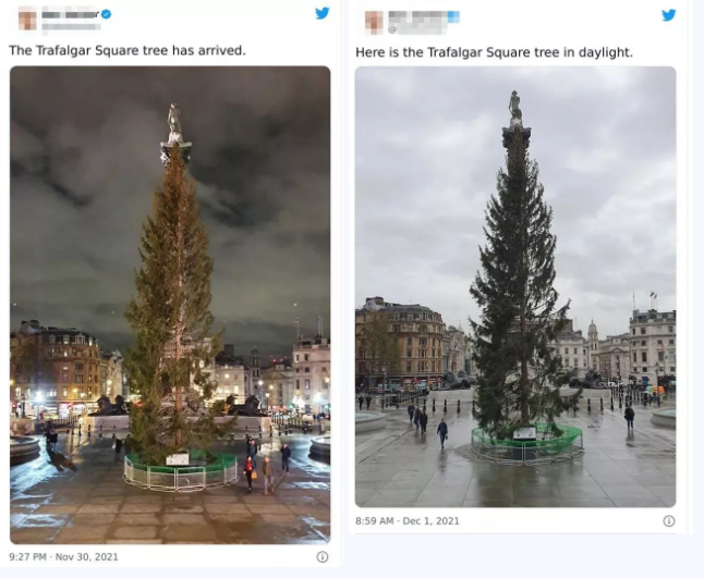 “年度弹幕”、“破防了”、“骆驼选美”，用英语都怎么说？