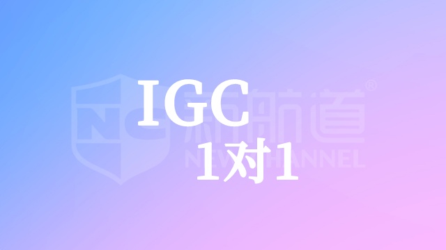 IGC1对1