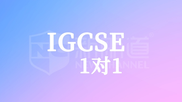 IGCSE1对1