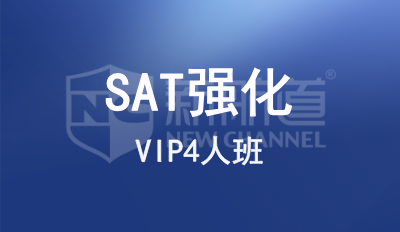 SAT强化VIP4人班