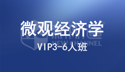 微观经济学VIP3-6人班