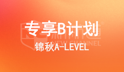 專享B計劃