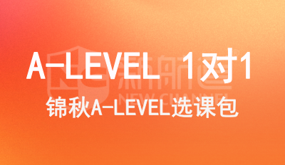60小时A-LEVEL 1对1
