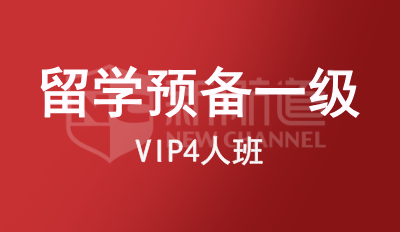 留学预备一级VIP4人班