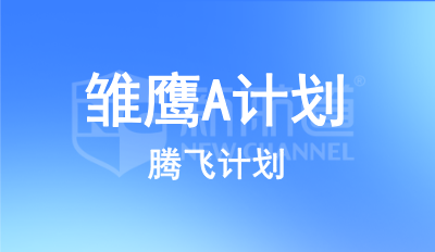 雛鷹A計劃