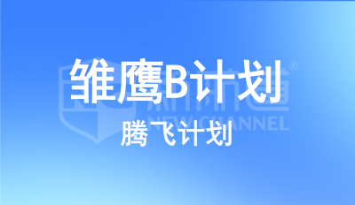 雏鹰B计划