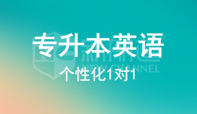 专升本英语1对1