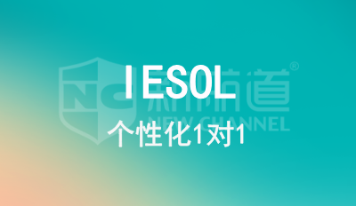IESOL 1对1