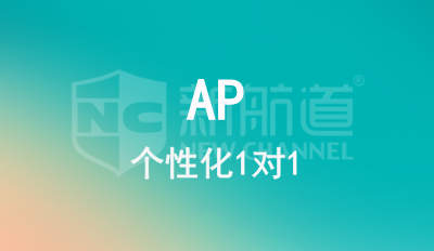 AP 1对1