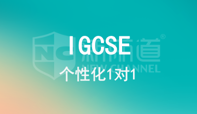IGCSE 1对1