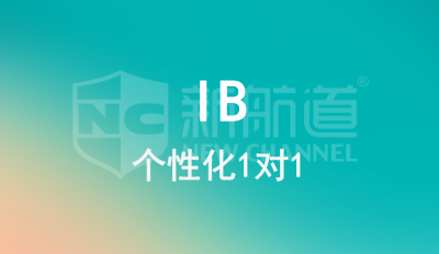 IB 1对1