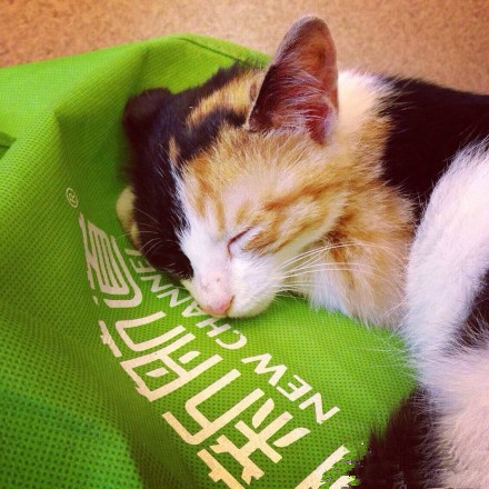 成都新航道住宿班