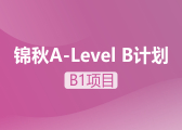錦秋A-Level B計劃B1項目