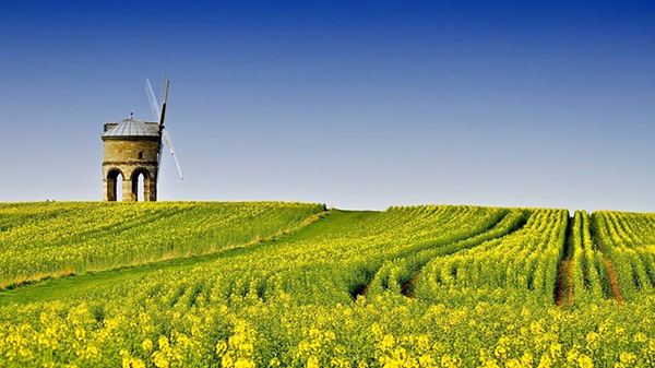 A-Level课程培训机构都有哪些?