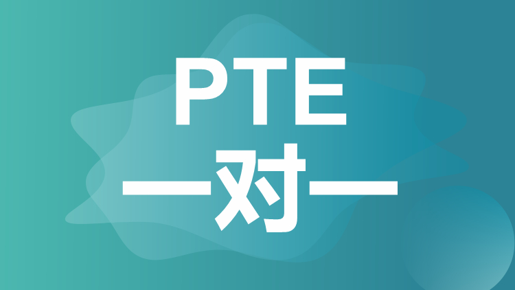 PTE一对一培训