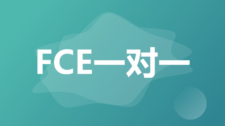 FCE一对一