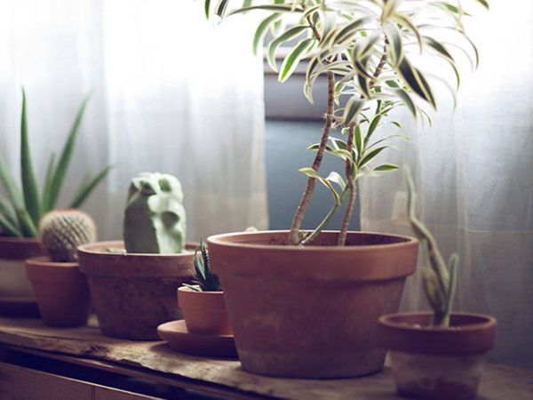 重庆雅思培训地址电话-新航道雅思地址