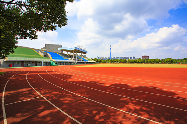 2024年1-6月雅思口语考情及趋势分析