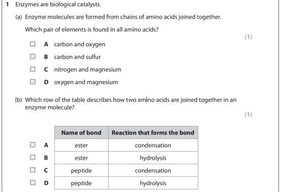 alevel生物分子