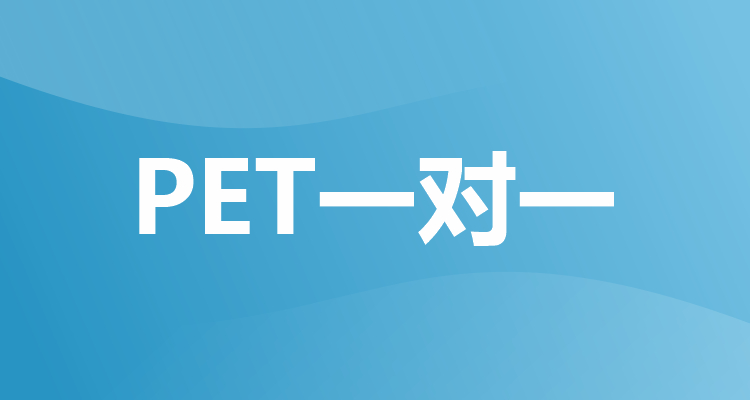 PET一对一培训