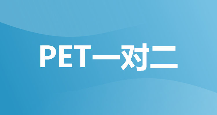 PET一对二培训