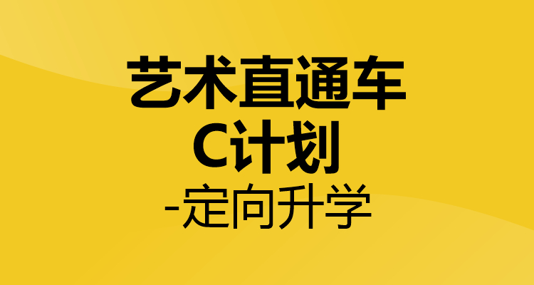 艺术考研直通车C计划-定向升学