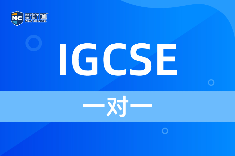 IGCSE一对一