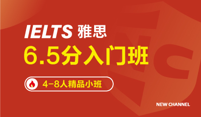 雅思入门8人班