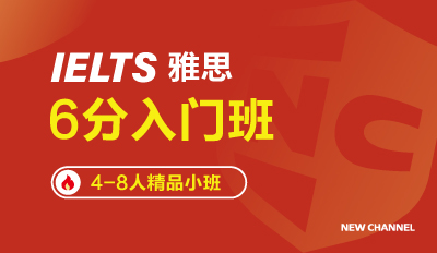 雅思入门8人班