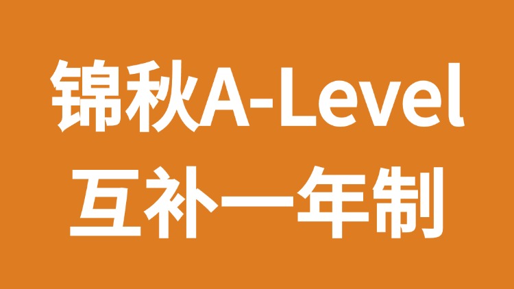 国际互补一年制