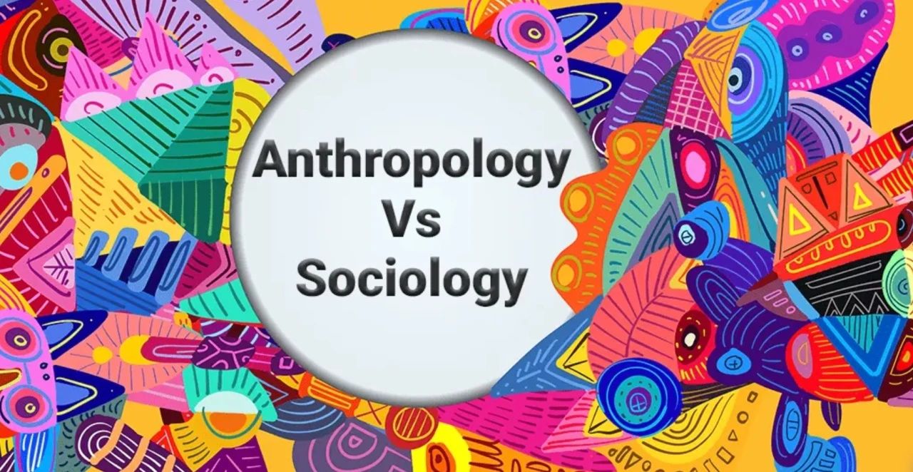 新航道留学攻略 ‖ 社会学与人类学：如何作出选择？
